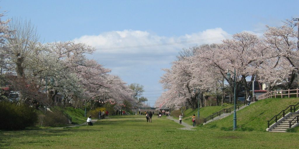 新屋桜公園　秋田市　花粉対策整備